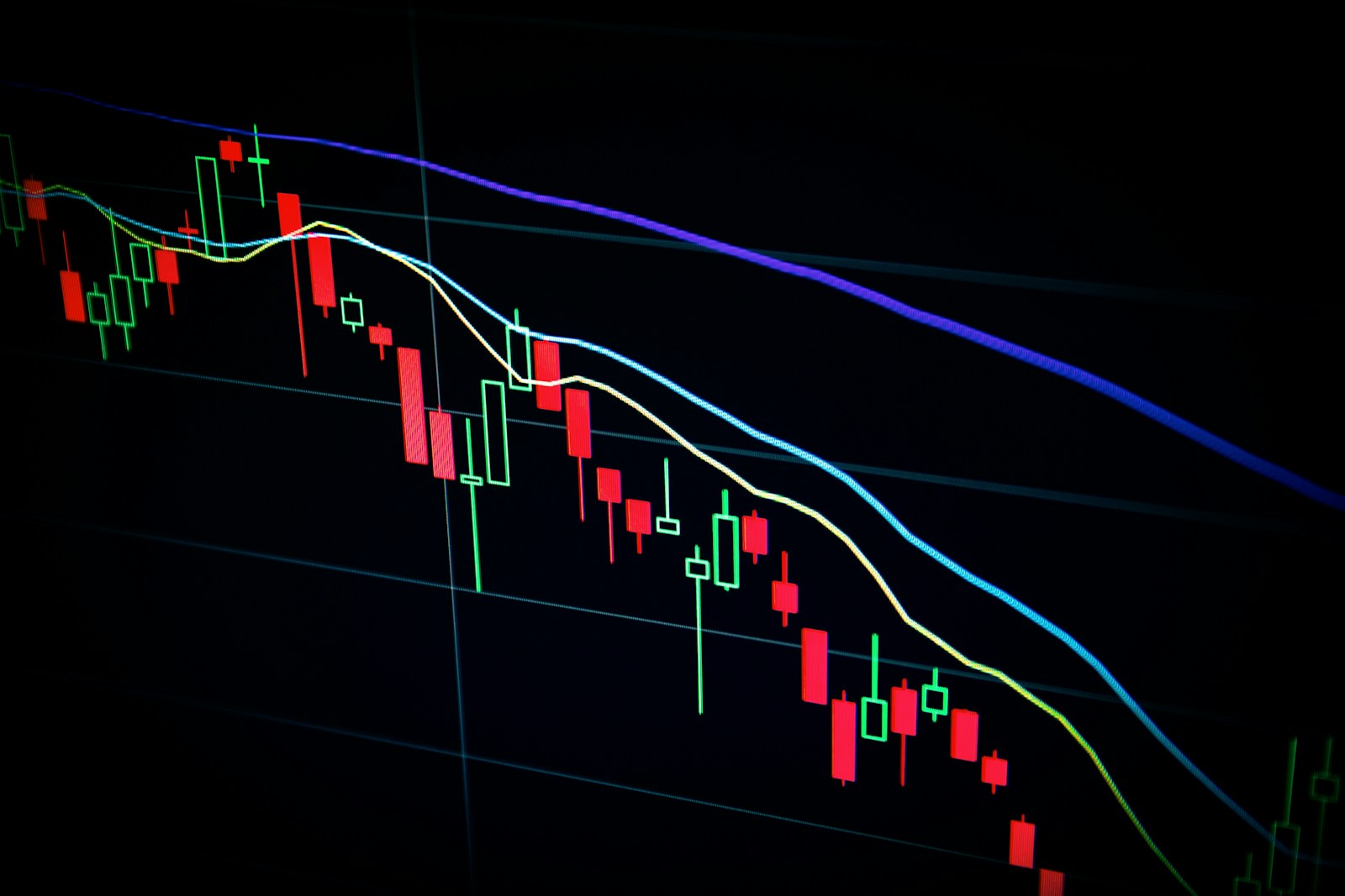 Best Income ETFs to Buy in 2024