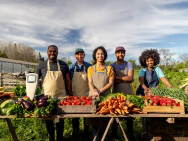 Farm Jobs in Australia